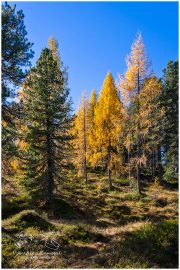 Ahornsee_6049_28-10-21, Paradies Ennstal, Thomas Hofer, Landschaft, Bild, Foto, Aufnahme, Ennstal, Luftbild, Imagetrailer, Schladming Dachstein,