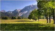 Ramsau, Dachstein, Baum, Wiese, Landschaft, Ennstal