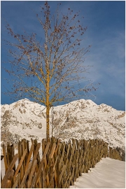 Ramsau, Winter, Dachstein, Jägerzaun,