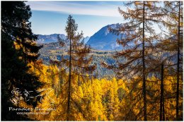 Ahornsee-6045-28-10-21, Paradies Ennstal, Thomas Hofer, Landschaft, Bild, Foto, Aufnahme, Ennstal, Luftbild, Imagetrailer, Schladming Dachstein,