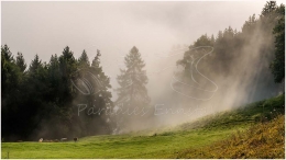 Gelsenberg, Kleinsölk, Nebel, Herbst,