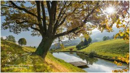 Herbst D816037 VK0023, Paradies Ennstal, Thomas Hofer, Landschaft, Bild, Foto, Aufnahme, Ennstal, Luftbild, Imagetrailer, Schladming Dachstein, Gemeinde Michaelerberg-Pruggern, Ennstal Mitte, Michaelerberg, Herbst, alle Bilder, Wiese, Baum, Wasser, See, Spiegelung, Wasserspiegelung