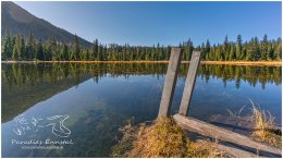 Miesbodensee-1418-20-11-08, Paradies Ennstal, Thomas Hofer, Landschaft, Bild, Foto, Aufnahme, Ennstal, Luftbild, Imagetrailer, Schladming Dachstein, Ennstal Mitte, Marktgemeinde Gröbming,  Miesbodensee, Herbst, Sonne, alle Bilder, Wasser, Alm, See, Spiegelung, Wasserspiegelung,