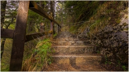 Treppe, Salza, Wasserfall, Weg, Ennstal, Foto, Bild