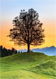 VK0005, Paradies Ennstal, Thomas Hofer, Landschaft, Bild, Foto, Aufnahme, Ennstal, Luftbild, Imagetrailer, Schladming Dachstein,