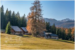 Viehbergalm-Herbst-1458-21-11-08, Paradies Ennstal, Thomas Hofer, Landschaft, Bild, Foto, Aufnahme, Ennstal, Luftbild, Imagetrailer, Schladming Dachstein, Ennstal Mitte, Marktgemeinde Gröbming, Viehbergalm, Almhütte, Hütte, Herbst, alle Bilder, Alm,