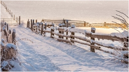 Winter, Weißenbach bei Haus, Schnee, Zaun