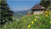 Stalingradkapelle, Frühling, Blumen, Grimming, Aussicht,