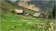 Stummeralm, Kleinsölk, Wandern, Alm, Hütte