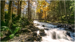 Schwarzensee, Bach, Herbst, Kleinsölk, Sölk