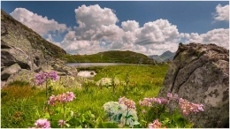 oberer Kaltenbachsee, Deneck, See, Bergsee, Bergfoto, Ennstal