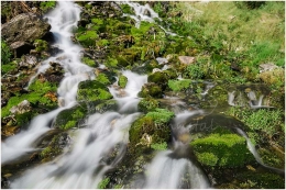 Stummeralm, Wasser, Bach, Kleinsölk