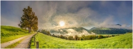 Mitterberg, Morgenstimmung, Baum, Weg, Nebel