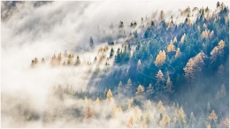 Stoderzinken, Nebel, Herbst, Foto, Landschaftsaufnahme