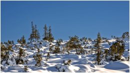 Fageralm_16x9_7008-21-12-18, Ennstal West, Tourenschi, Fageralm, Reiteralm, Stadtgemeinde Schladming, Forstau, Winter, alle Bilder, Alm, Schnee, Wald, Paradies Ennstal, Thomas Hofer, Landschaft, Bild, Foto, Aufnahme, Ennstal, Luftbild, Imagetrailer, Schladming Dachstein,