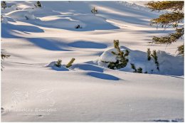 Fageralm_3x2_7048-21-12-18Ennstal West, Tourenschi, Fageralm, Reiteralm, Stadtgemeinde Schladming, Forstau, Winter, alle Bilder, Alm, Schnee, Paradies Ennstal, Thomas Hofer, Landschaft, Bild, Foto, Aufnahme, Ennstal, Luftbild, Imagetrailer, Schladming Dachstein,