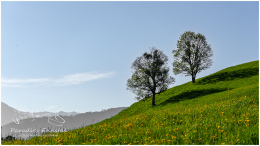 Freienstein_16x9_0291-1_22-05-15, Paradies Ennstal, Thomas Hofer, Landschaft, Bild, Foto, Aufnahme, Ennstal, Luftbild, Imagetrailer, Schladming Dachstein,  Ennstal Mitte, Gemeinde Michaelerberg-Pruggern, Marktgemeinde Gröbming, Frühling, alle Bilder