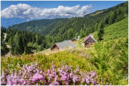 Gumpeneck-8824-21-07-31-, Paradies Ennstal, Thomas Hofer, Landschaft, Bild, Foto, Aufnahme, Ennstal, Luftbild, Imagetrailer, Schladming Dachstein, Ennstal Mitte, Gumpeneck, Gemeinde Sölk, Großsölk, Sommer, alle Bilder, Alm, Almhütte, Hütte, Gumpenalm, Schönwetterhütte