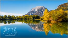 Stainach-Fischteich-Grimming-16x9-7749-19-10-16, Paradies Ennstal, Thomas Hofer, Landschaft, Bild, Foto, Aufnahme, Ennstal, Luftbild, Imagetrailer, Schladming Dachstein, Ennstal Mitte, Grimming, Gemeinde Stainach-Pürgg, Herbst, Zeiringer Teich, Fischteich, alle Bilder, Wasser, See, Spiegelung, Wasserspiegelung,