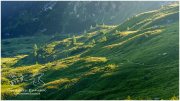 Gumpeneck-16x9-3496-22-07-25, Paradies Ennstal, Thomas Hofer, Landschaft, Bild, Foto, Aufnahme, Ennstal, Luftbild, Imagetrailer, Schladming Dachstein, Ennstal Mitte, Gumpeneck, Gemeinde Sölk, Sommer, alle Bilder, Berg, Aussicht, Alm