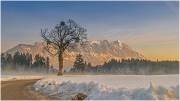 Winter, Mitterberg, Baum, Grimming, Weg,
