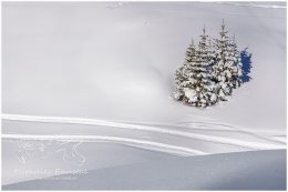 A1_4551-1, Paradies Ennstal, Thomas Hofer, Landschaft, Bild, Foto, Aufnahme, Ennstal, Luftbild, Imagetrailer, Schladming Dachstein, Ennstal Mitte, Gemeinde Michaelerberg-Pruggern, Winter, alle Bilder, Schnee