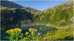 Kaltenbachsee, Wasser, Wanderung, Sölkpass, Sölktal,