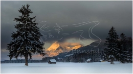 Mitterberg, Sonnenfenster, Baum, Schnee, Winter, Ennstal,