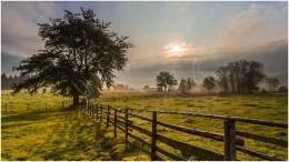 Prenten, Sonnenaufang, Baum, Herbst, Zaun, Ennstal