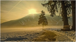 Mitterberg, Sonnenaufgang, Baum, Schnee, Weg,