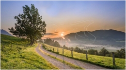 Mitterberg, Sonnenaufgang, Baum, Weg, Nebel, Ennstal, Foto,