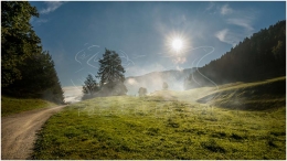 Gemeinde Sölk, Ennstal Mitte, Gelsenberg, Herbst, Sonne, alle Bilder, Wiese, Baum, Nebel, Weg, Paradies Ennstal, Thomas Hofer, Landschaftsfoto, Landschaftsbild, Landschaftsaufnahme, Foto, Bild, Aufnahme, Ennstal, Luftbild, Luftaufnahme, Drohnenfoto, Panoramabild, Panoramafoto, 360 Grad, Imagetrailer, Gelsenberg 4723