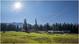 Marktgemeinde Gröbming, Ennstal Mitte, Viehbergalm, Sommer, Wiese, Baum, Alm, Almhütte, Alm, Weg, Sonne, Paradies Ennstal, Thomas Hofer, Landschaftsfoto, Landschaftsbild, Landschaftsaufnahme, Foto, Bild, Aufnahme, Ennstal, Luftbild, Luftaufnahme, Drohnenfoto, Panoramabild, Panoramafoto, 360 Grad, Imagetrailer, Viebergalm 4751