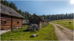 Marktgemeinde Gröbming, Ennstal Mitte, Viehbergalm, Sommer, Wiese, Baum, Alm, Almhütte, Alm, Weg, Sonne, Paradies Ennstal, Thomas Hofer, Landschaftsfoto, Landschaftsbild, Landschaftsaufnahme, Foto, Bild, Aufnahme, Ennstal, Luftbild, Luftaufnahme, Drohnenfoto, Panoramabild, Panoramafoto, 360 Grad, Imagetrailer, Viehbergalm 4752