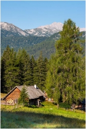 Marktgemeinde Gröbming, Ennstal Mitte, Viehbergalm, Sommer, Wiese, Baum, Alm, Almhütte, Alm,  Paradies Ennstal, Thomas Hofer, Landschaftsfoto, Landschaftsbild, Landschaftsaufnahme, Foto, Bild, Aufnahme, Ennstal, Luftbild, Luftaufnahme, Drohnenfoto, Panoramabild, Panoramafoto, 360 Grad, Imagetrailer, Viehbergalm 9651