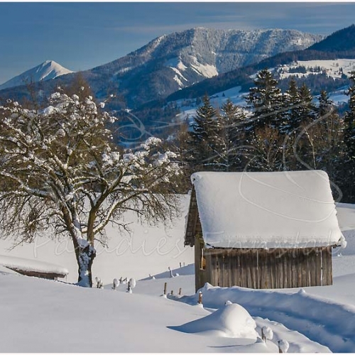 Ennstal West, Birnberg, Haus, Winter, alle Bilder, Schnee, Hütte, Weg, Paradies Ennstal, Thomas Hofer, Landschaftsfoto, Landschaftsbild, Landschaftsaufnahme, Foto, Bild, Aufnahme, Ennstal, Luftbild, Luftaufnahme, Drohnenfoto, Panoramabild, Panoramafoto, 360 Grad, Imagetrailer, Birnberg 4291