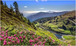 Gemeinde Michaelerberg-Pruggern, Pleschnitzzinken, Galsterbergalm, Sommer, Blume, alle Bilder, Wiese, Baum, Blüte, Aussicht, Wasser, See, Alm, Almhütte, Hütte, Almrausch,  Paradies Ennstal, Thomas Hofer, Landschaftsfoto, Landschaftsbild, Landschaftsaufnahme, Foto, Bild, Aufnahme, Ennstal, Luftbild, Luftaufnahme, Drohnenfoto, Panoramabild, Panoramafoto, 360 Grad, Imagetrailer, Galsterbergalm 4833