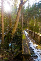 Ennstal Mitte, Gemeinde Sölk, Strub, Kleinsölk, Großsölk, Frühling, alle Bilder, Brücke, Schnee, Wald, Baum, Weg, Paradies Ennstal, Thomas Hofer, Landschaftsfoto, Landschaftsbild, Landschaftsaufnahme, Foto, Bild, Aufnahme, Ennstal, Luftbild, Luftaufnahme, Drohnenfoto, Panoramabild, Panoramafoto, 360 Grad, Imagetrailer, Strub_7542