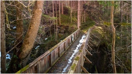 Ennstal Mitte, Gemeinde Sölk, Strub, Kleinsölk, Großsölk, Frühling, alle Bilder, Brücke, Schnee, Wald, Baum, Weg, Paradies Ennstal, Thomas Hofer, Landschaftsfoto, Landschaftsbild, Landschaftsaufnahme, Foto, Bild, Aufnahme, Ennstal, Luftbild, Luftaufnahme, Drohnenfoto, Panoramabild, Panoramafoto, 360 Grad, Imagetrailer, Strub_8978