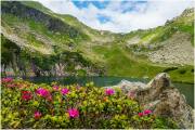 Paradies Ennstal, Thomas Hofer, Landschaftsfoto, Landschaftsbild, Landschaftsaufnahme, Foto, Bild, Aufnahme, Ennstal, Luftbild, Luftaufnahme, Drohnenfoto, Panoramabild, Panoramafoto, 360 Grad, Imagetrailer, Schladming Dachstein, Kaltenbachsee_DSC0311-2019-07-15