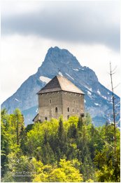 Burg Gallenstein 20_D810124-1_05_16