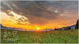 Mitterberg Sonnenaufgang 20_D810254_05_19