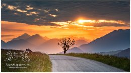 Mitterberg Sonnenaufgang 20_D810280b_05_19