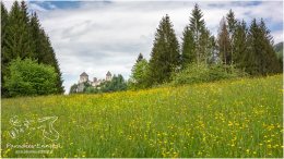 Burg Gallenstein 20_R2B1656-1_05_16