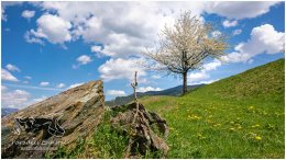 Frühling Gelsenberg 20_RII8305_04_26