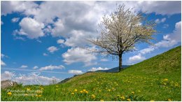 Frühling Gelsenberg 20_RII8307_04_26