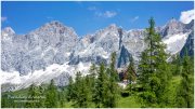 Brandalm_Dachstein_2020_R2A8267_06_28-1_06_28