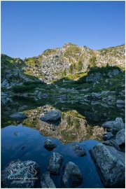 Rippeteck_20_R2A7987-1_06_27