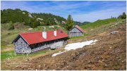Grafenbergalm_21_R2A5855-1_06_17
