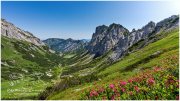 Grabnerstein_21__A1_4176-1_07_11